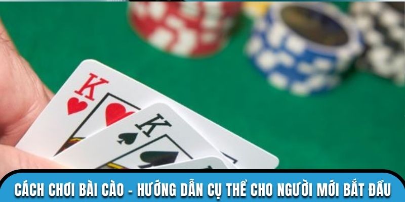 Cách Chơi Bài Cào – Hướng Dẫn Chi Tiết Cho Người Mới